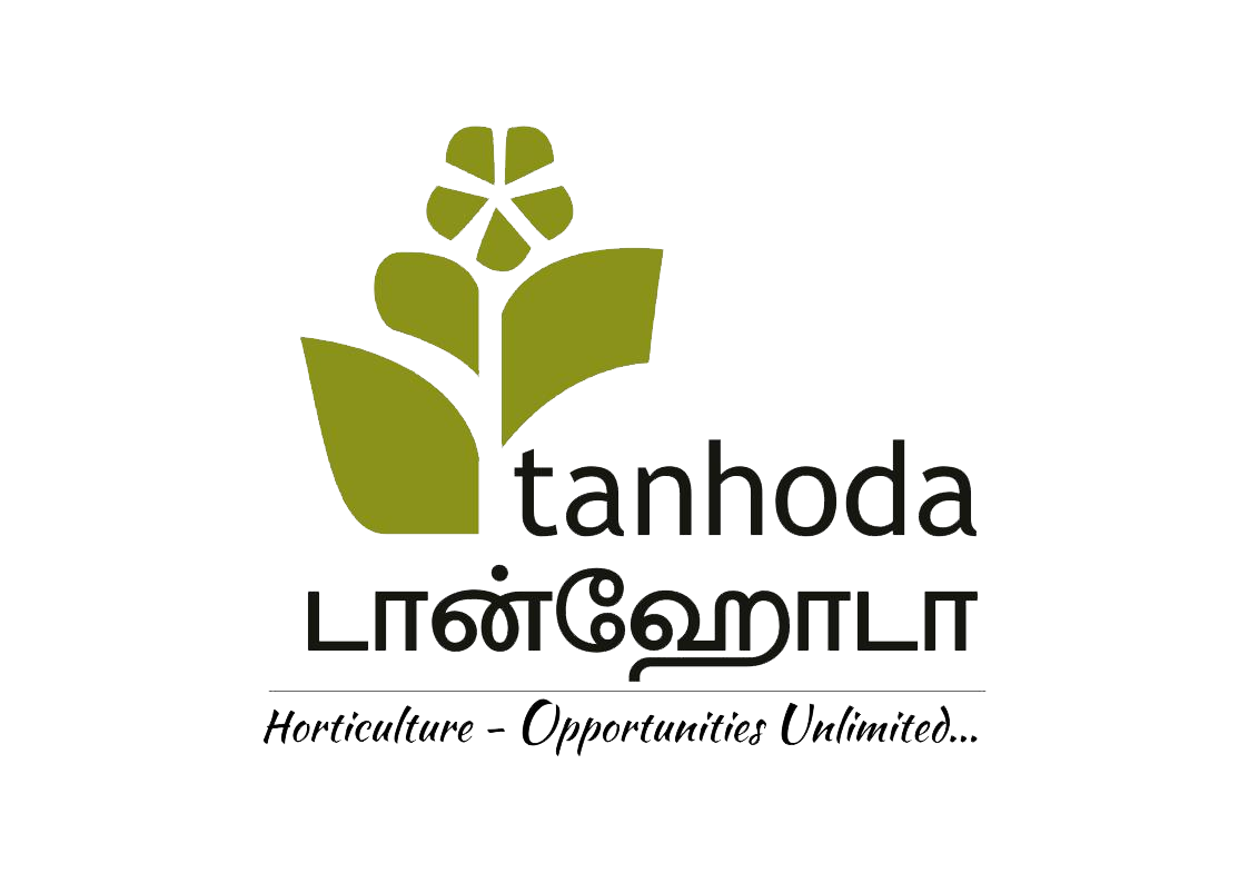 Tanhoda Logo